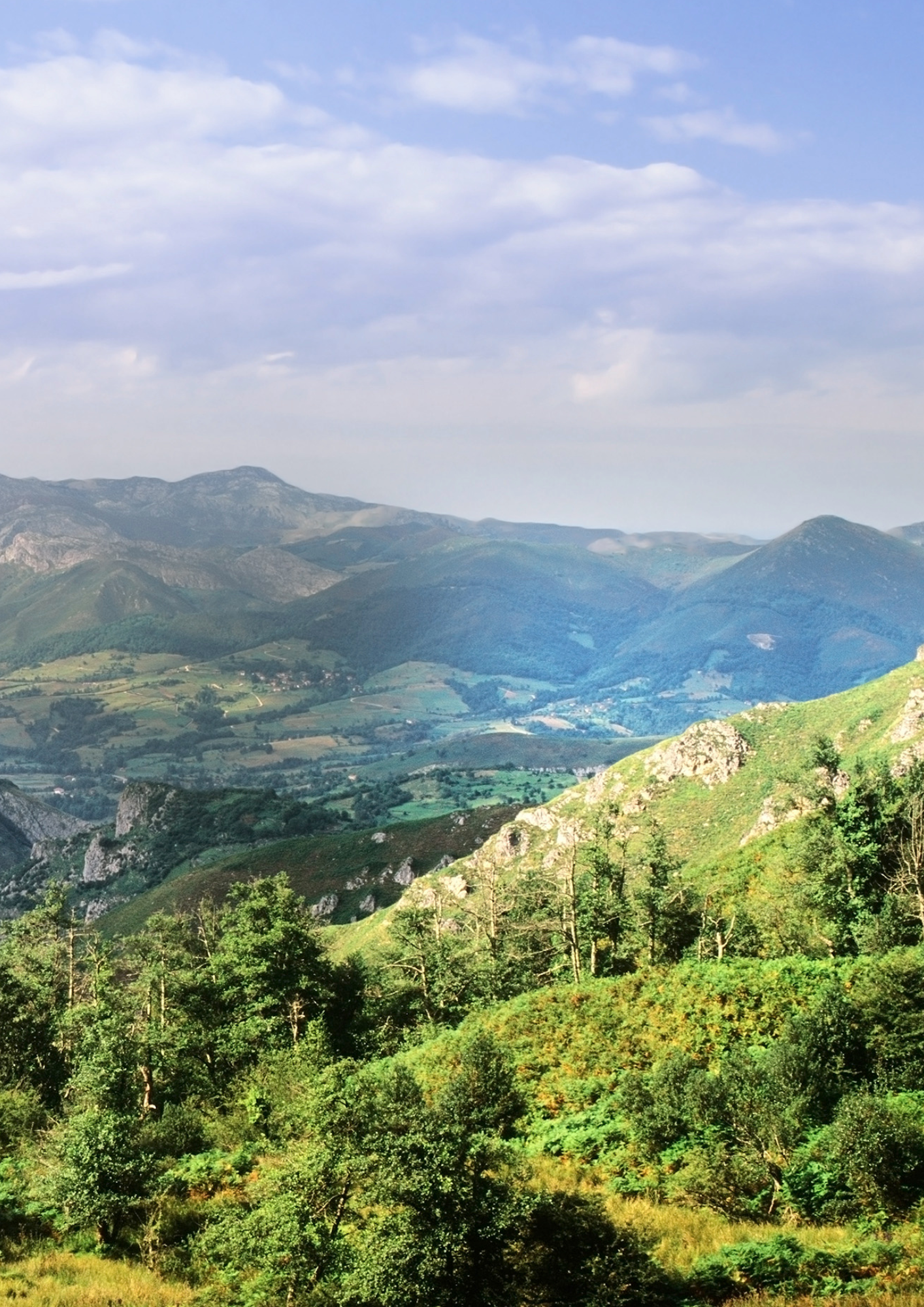 Fondo paisaje asturiano